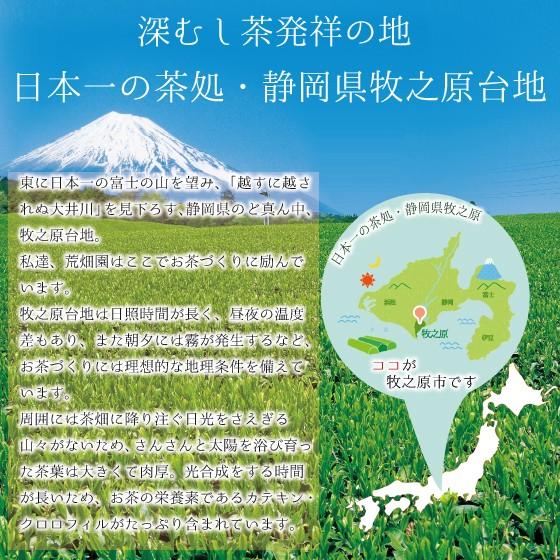 Japanese green tea, 100 tea bags x 3 sets, deep-steamed tea, Japanese Shizuoka tea, catechin, economical, 100 pieces, great value set of 3