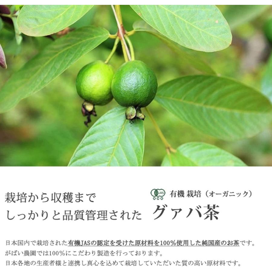Organically grown guava tea 2g x 40 packets, great value set of 3, domestically produced (made in Kagoshima), tested for residual pesticides and radioactivity