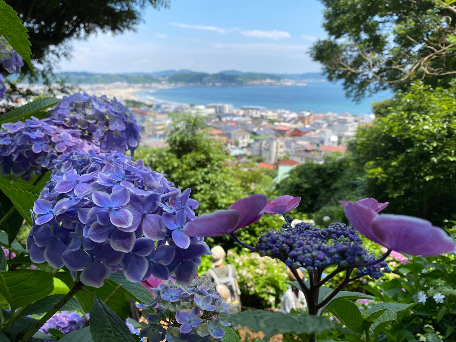 Kamakura Memorial Spots