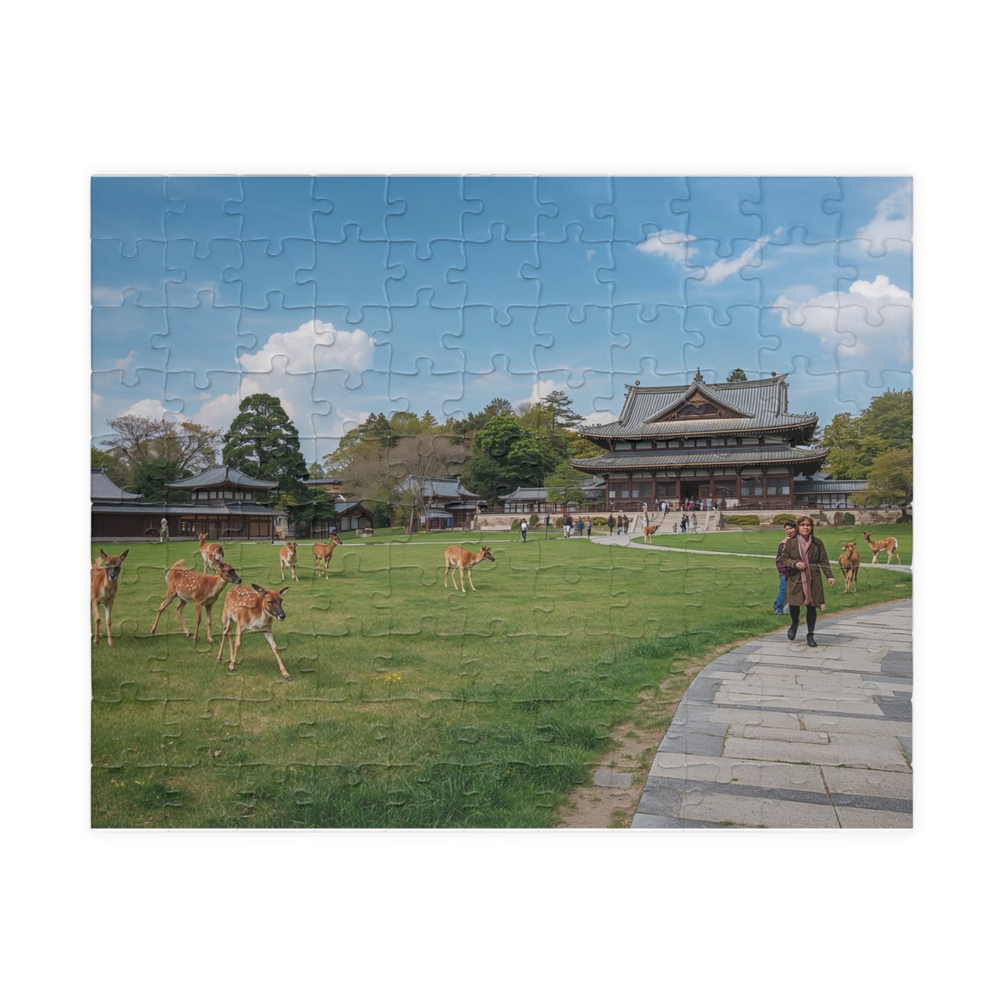 Jigsaw Puzzle (110, 252, 520, 1014-piece) Nara: Nara Park