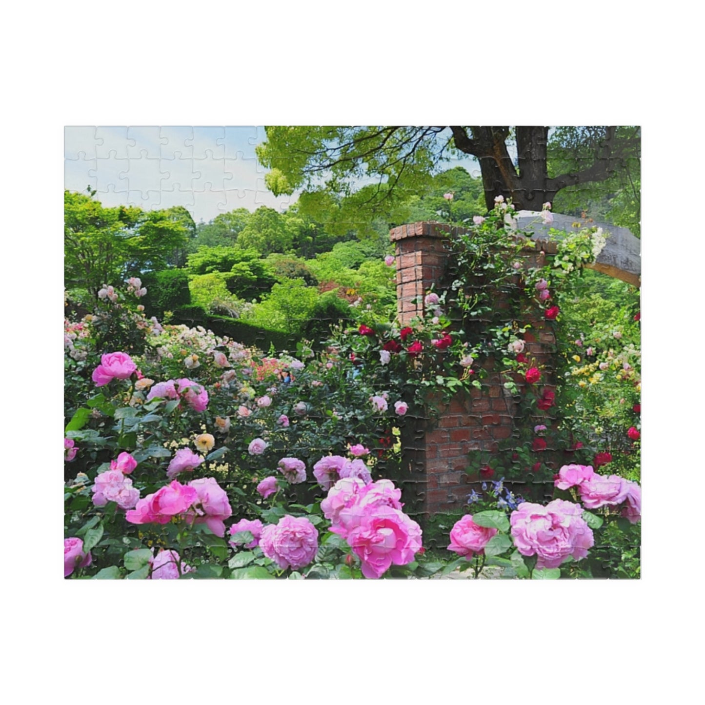 Jigsaw Puzzle (110, 252, 520, 1014-piece) Izu: Akao Forest