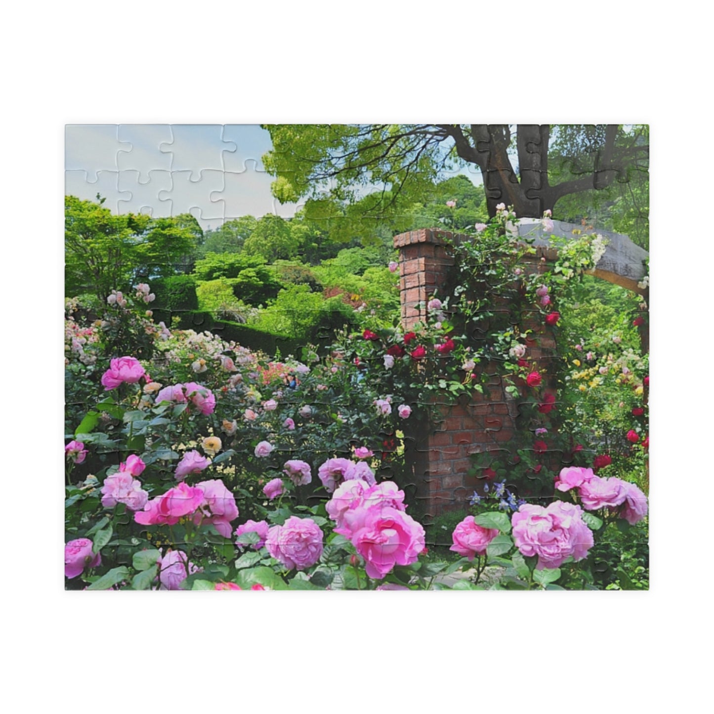 Jigsaw Puzzle (110, 252, 520, 1014-piece) Izu: Akao Forest