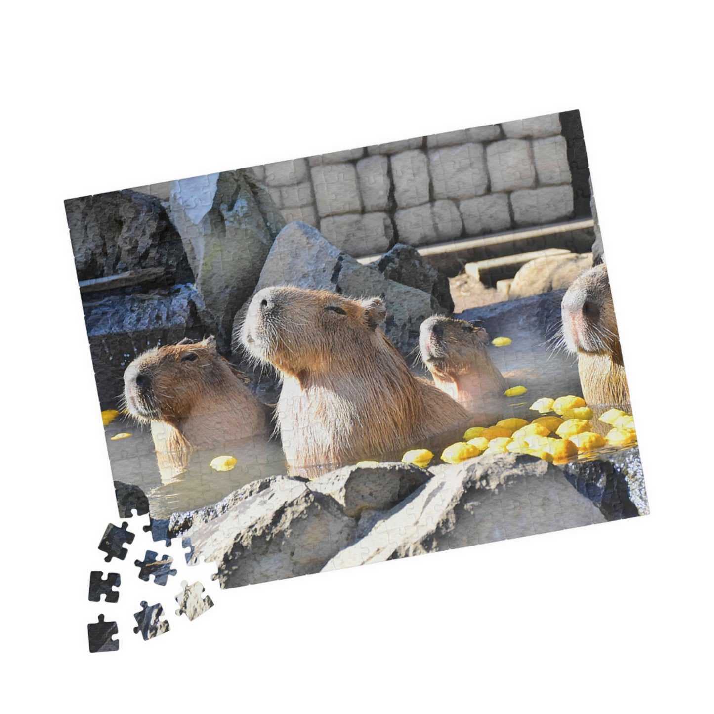 Jigsaw Puzzle (110, 252, 520, 1014-piece) Izu: Izu Cactus Zoo