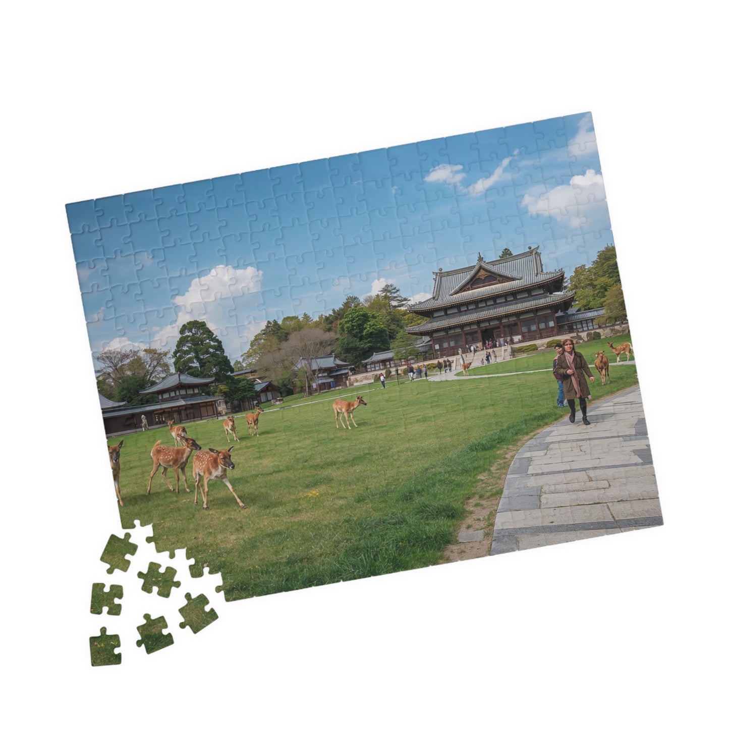 Jigsaw Puzzle (110, 252, 520, 1014-piece) Nara: Nara Park