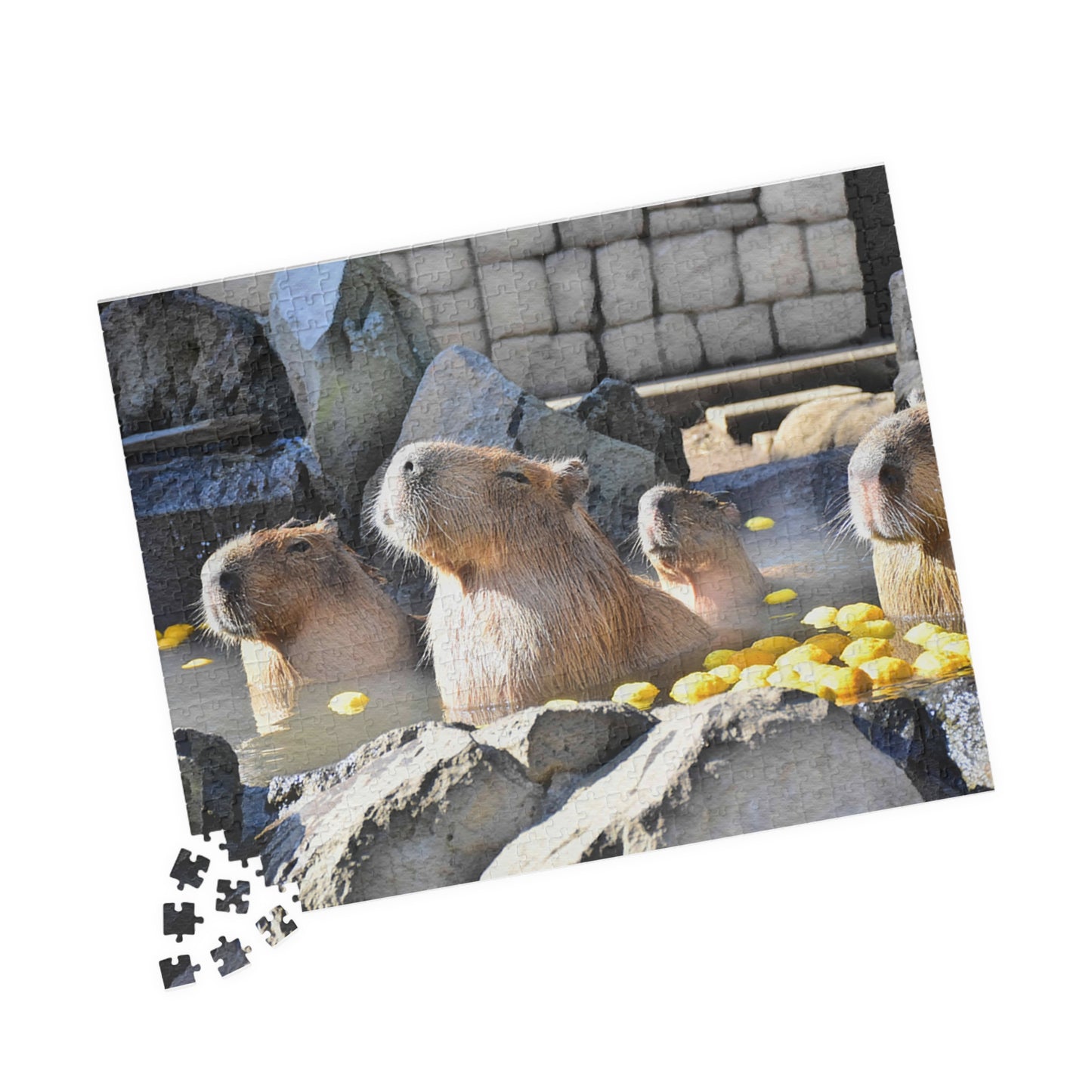 Jigsaw Puzzle (110, 252, 520, 1014-piece) Izu: Izu Cactus Zoo