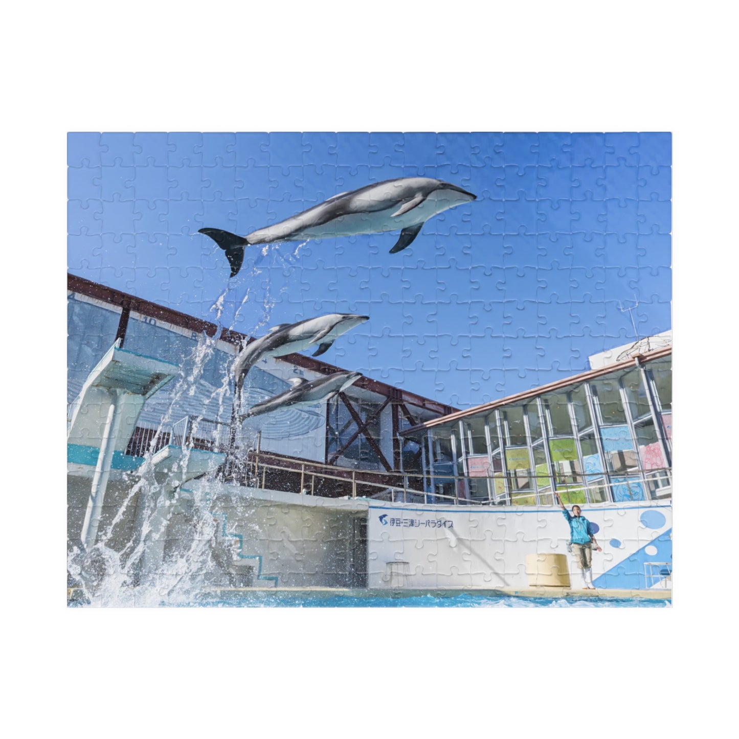 Jigsaw Puzzle (110, 252, 520, 1014-piece) Izu: Shimoda Aquarium