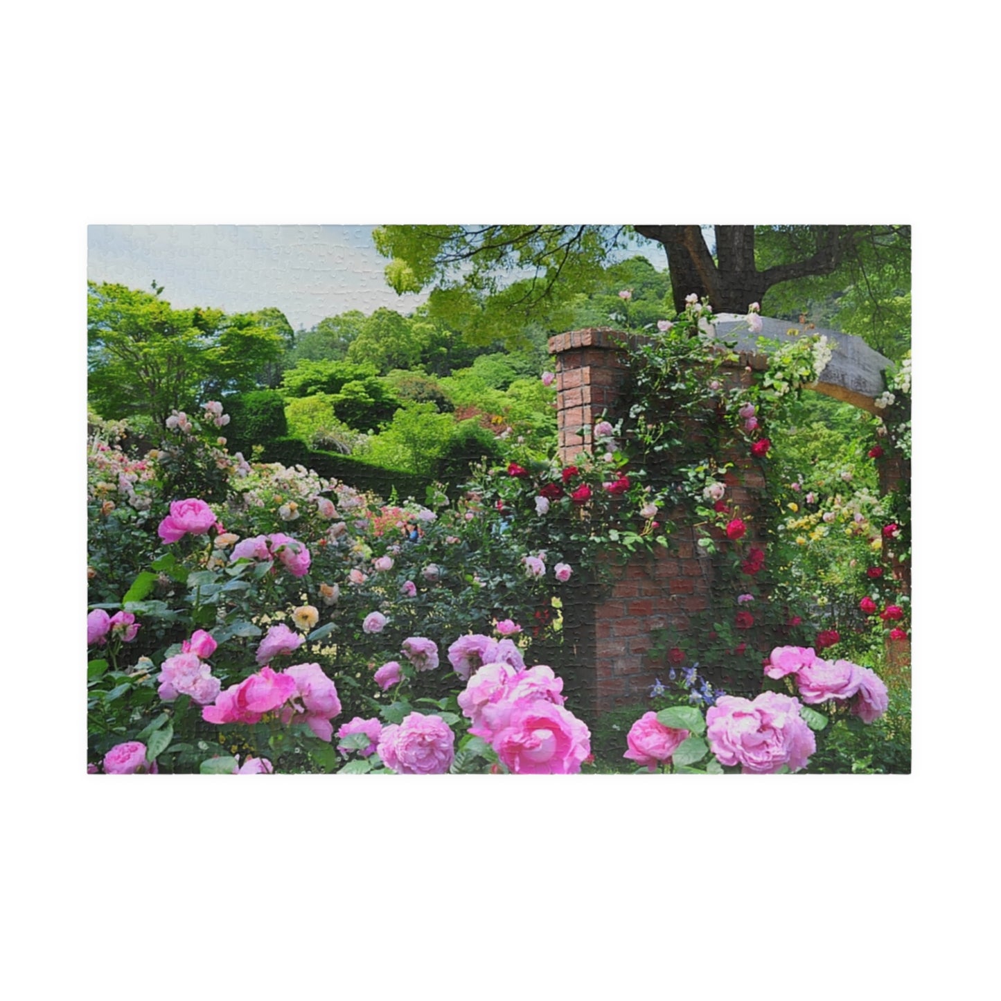 Jigsaw Puzzle (110, 252, 520, 1014-piece) Izu: Akao Forest