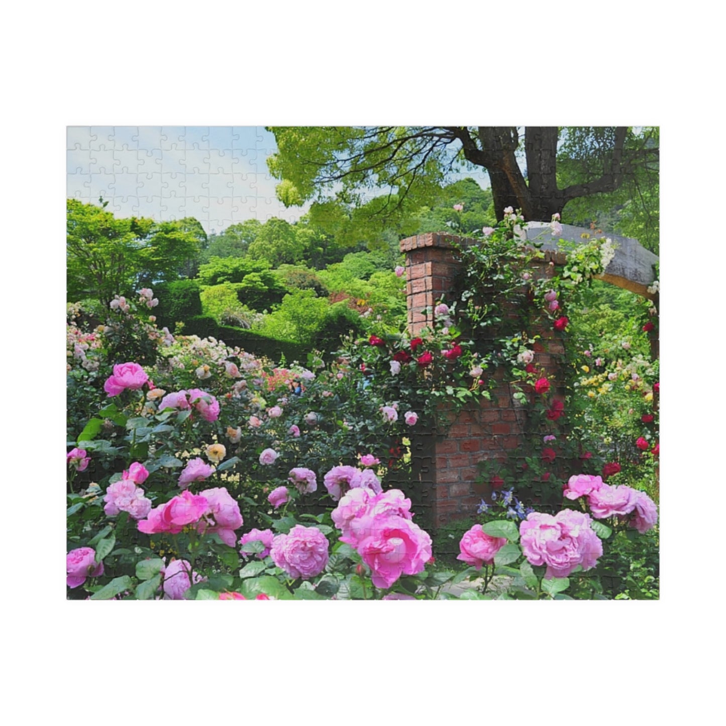 Jigsaw Puzzle (110, 252, 520, 1014-piece) Izu: Akao Forest