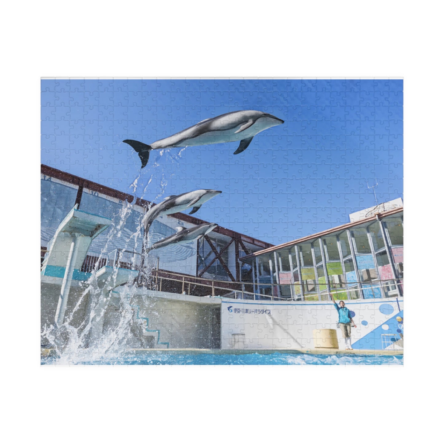 Jigsaw Puzzle (110, 252, 520, 1014-piece) Izu: Shimoda Aquarium
