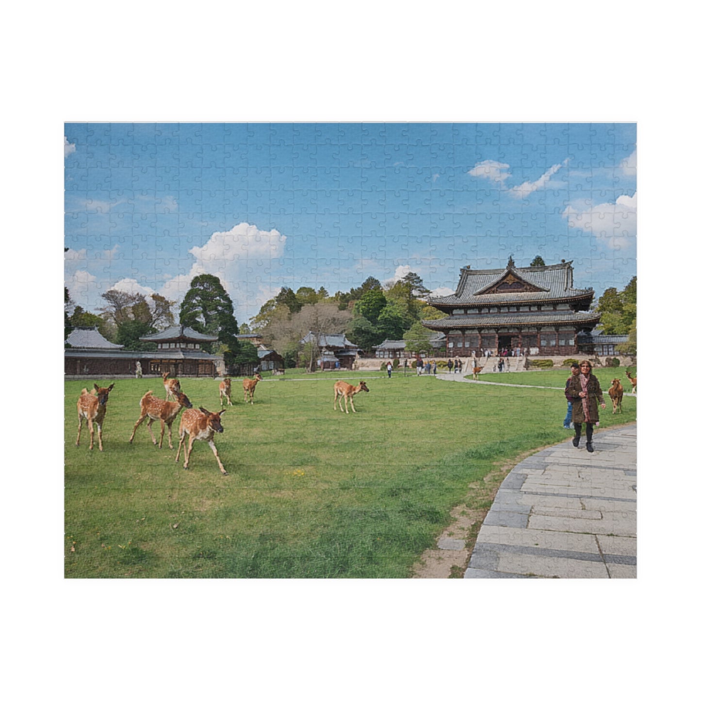 Jigsaw Puzzle (110, 252, 520, 1014-piece) Nara: Nara Park