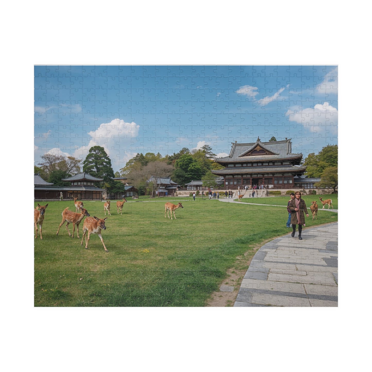 Jigsaw Puzzle (110, 252, 520, 1014-piece) Nara: Nara Park
