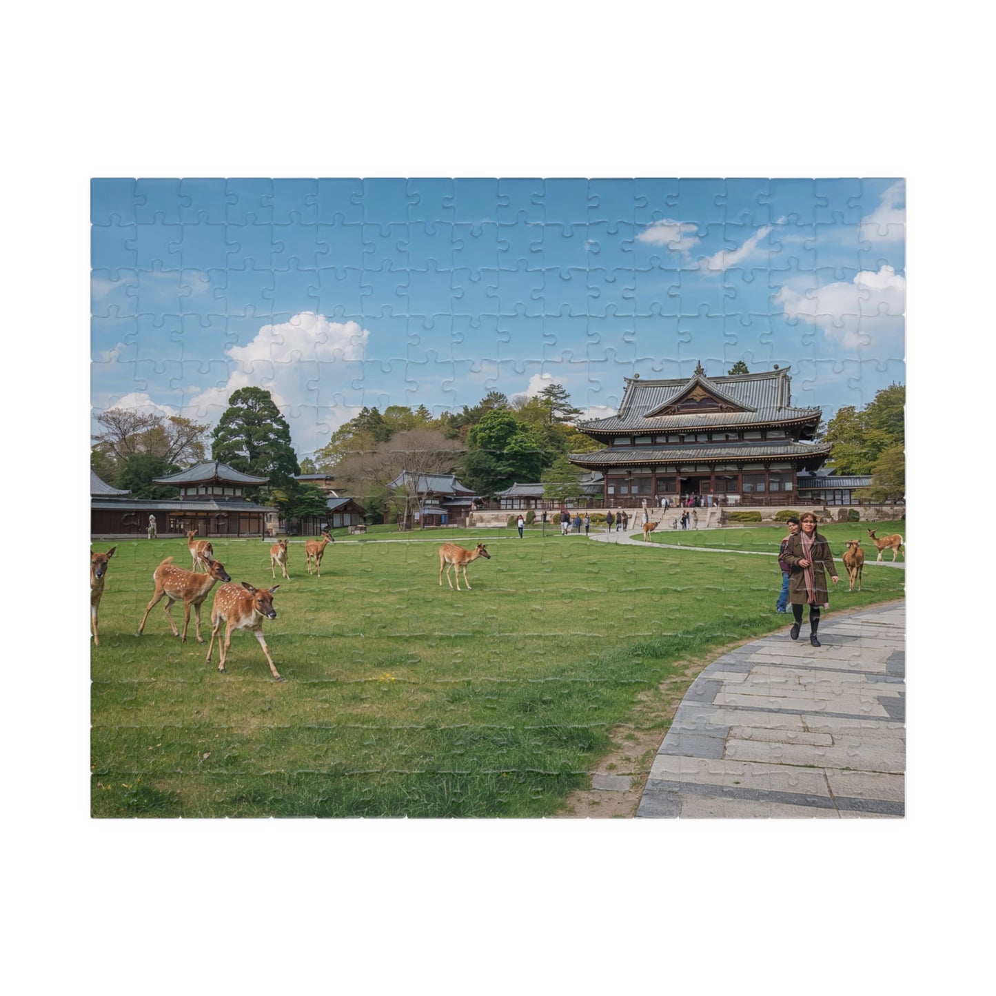 Jigsaw Puzzle (110, 252, 520, 1014-piece) Nara: Nara Park