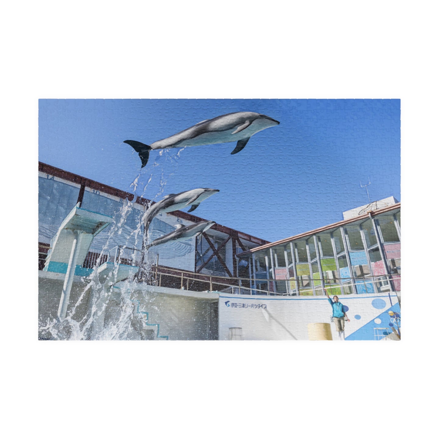 Jigsaw Puzzle (110, 252, 520, 1014-piece) Izu: Shimoda Aquarium