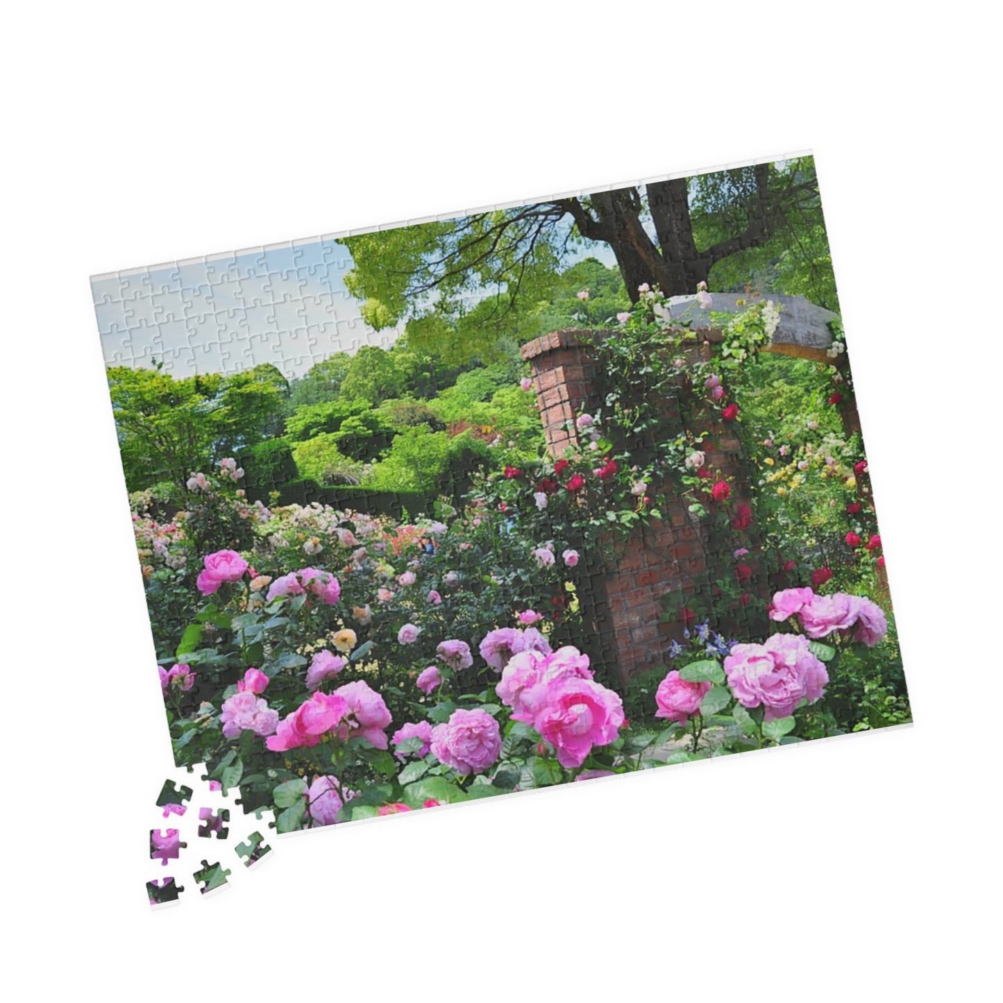 Jigsaw Puzzle (110, 252, 520, 1014-piece) Izu: Akao Forest