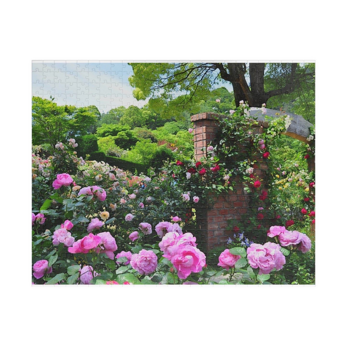 Jigsaw Puzzle (110, 252, 520, 1014-piece) Izu: Akao Forest