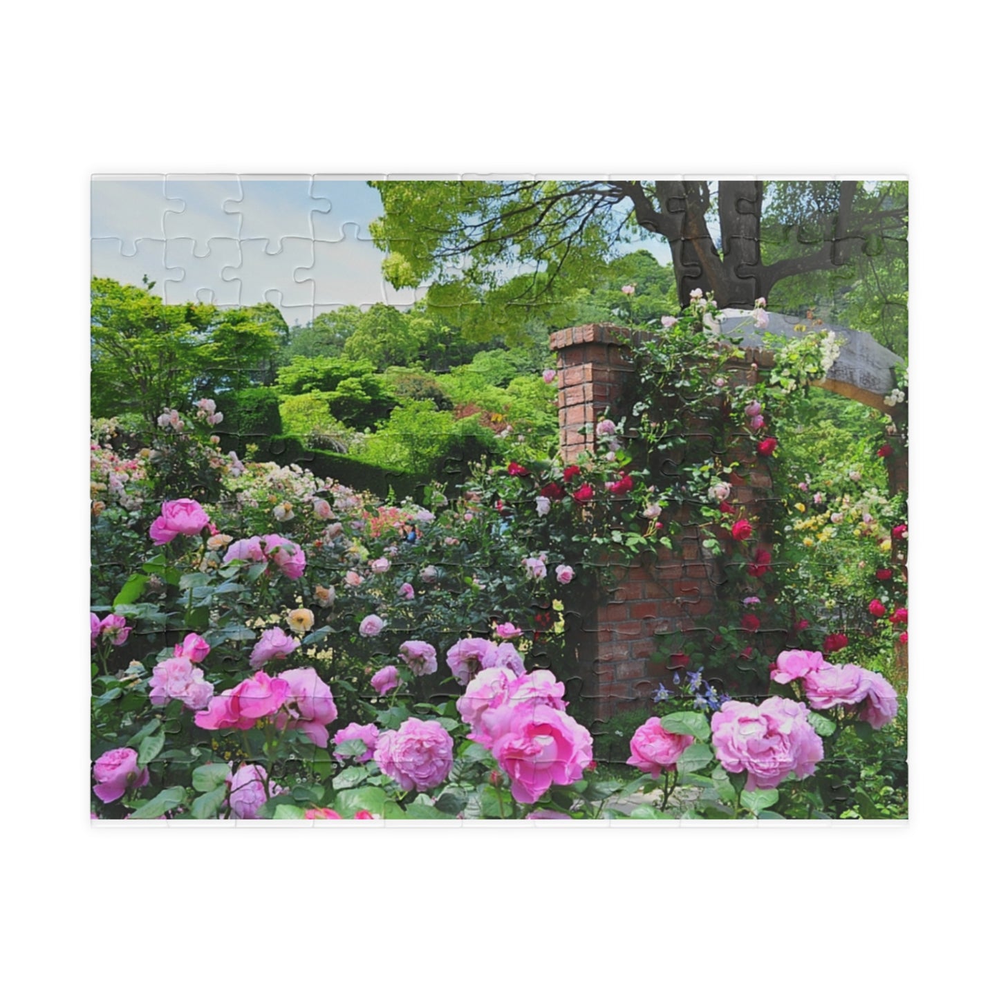 Jigsaw Puzzle (110, 252, 520, 1014-piece) Izu: Akao Forest