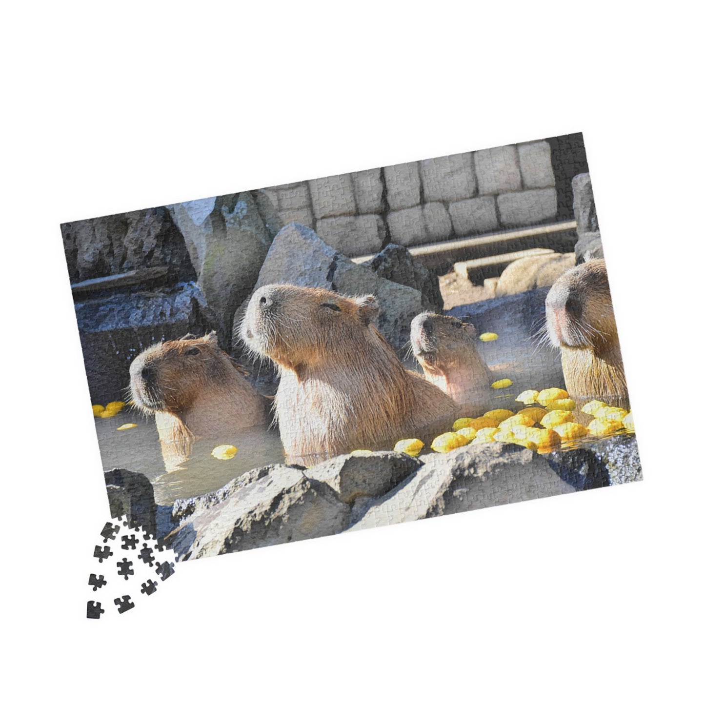 Jigsaw Puzzle (110, 252, 520, 1014-piece) Izu: Izu Cactus Zoo