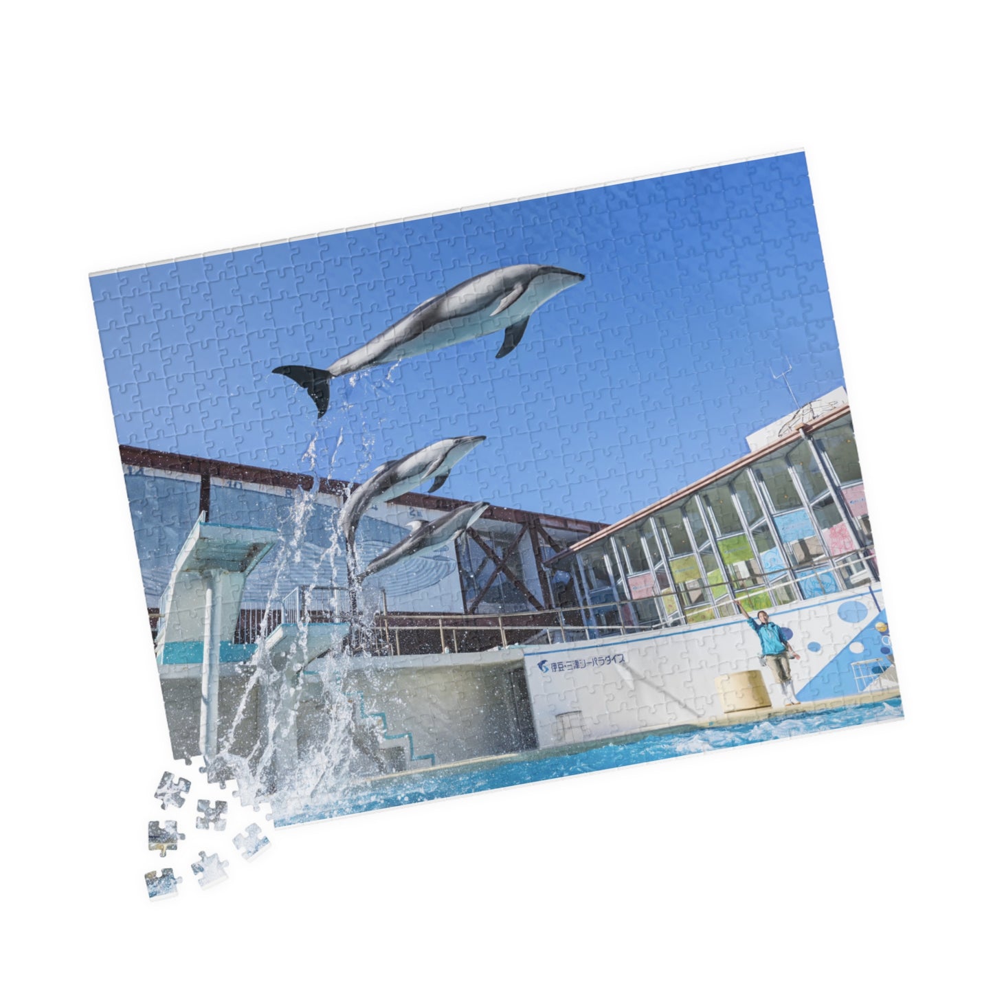 Jigsaw Puzzle (110, 252, 520, 1014-piece) Izu: Shimoda Aquarium