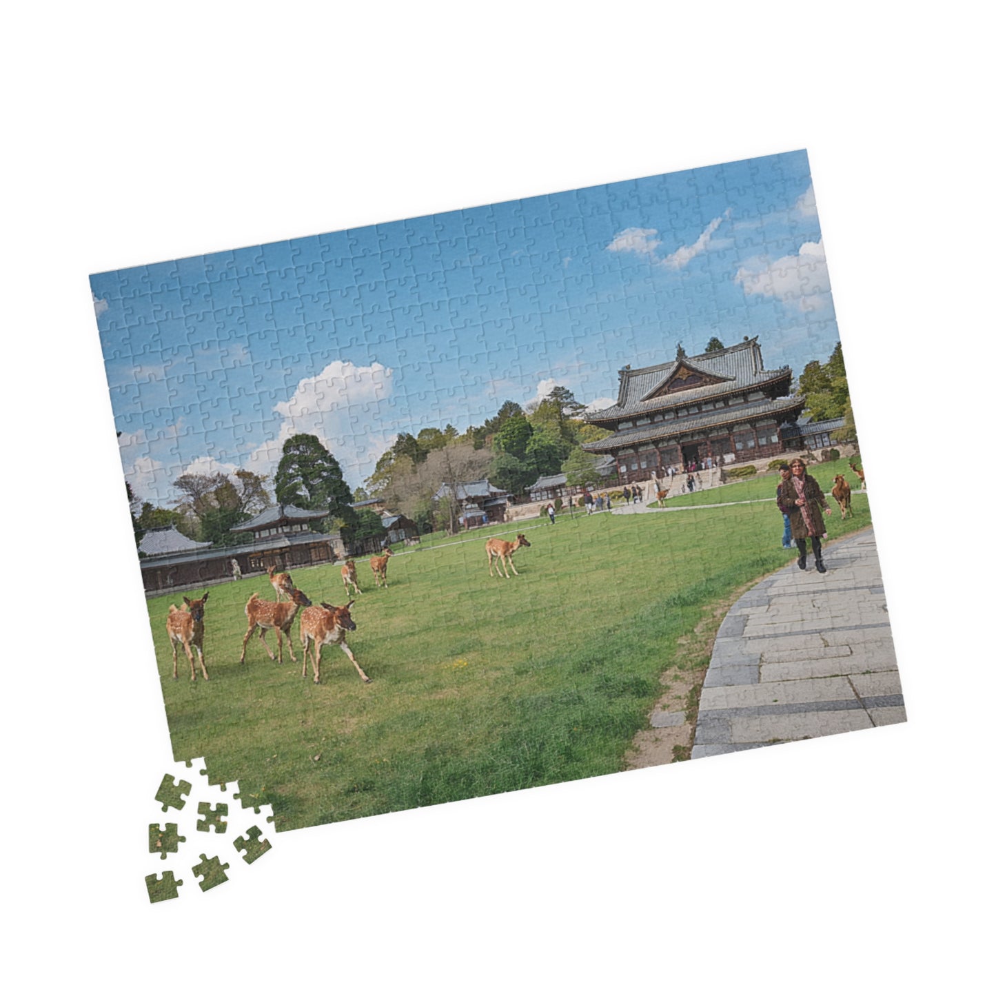 Jigsaw Puzzle (110, 252, 520, 1014-piece) Nara: Nara Park