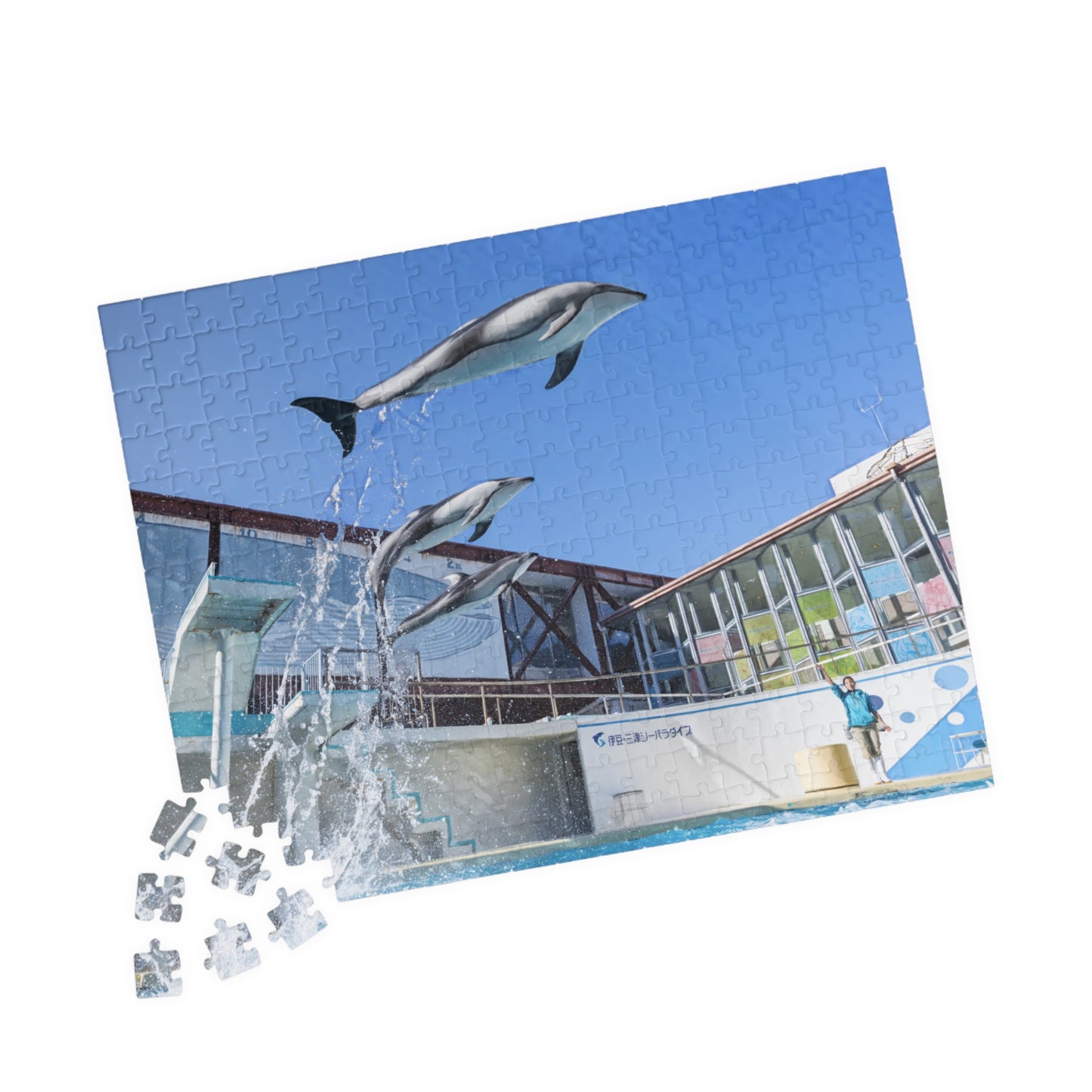 Jigsaw Puzzle (110, 252, 520, 1014-piece) Izu: Shimoda Aquarium