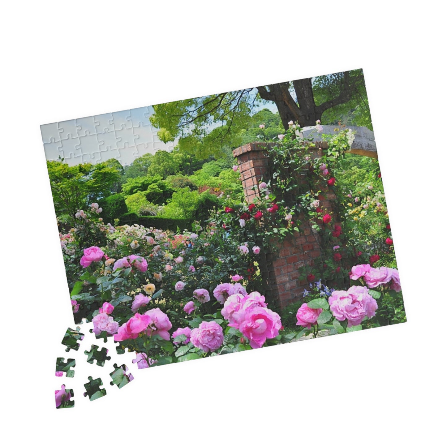 Jigsaw Puzzle (110, 252, 520, 1014-piece) Izu: Akao Forest