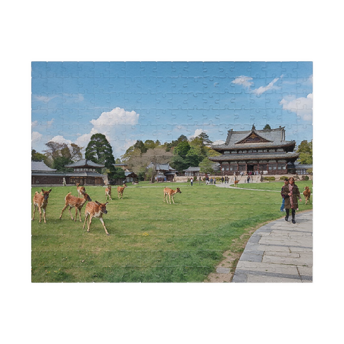 Jigsaw Puzzle (110, 252, 520, 1014-piece) Nara: Nara Park