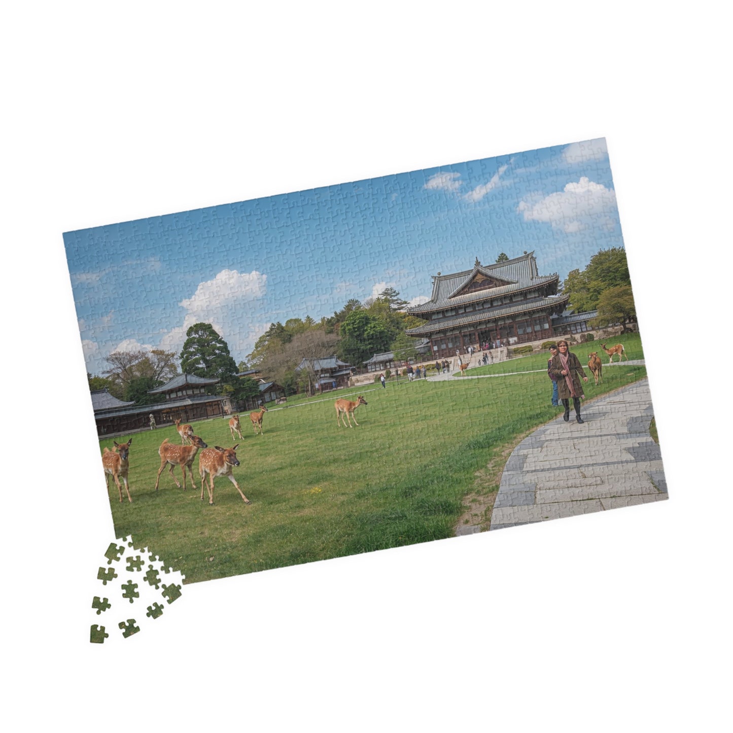 Jigsaw Puzzle (110, 252, 520, 1014-piece) Nara: Nara Park