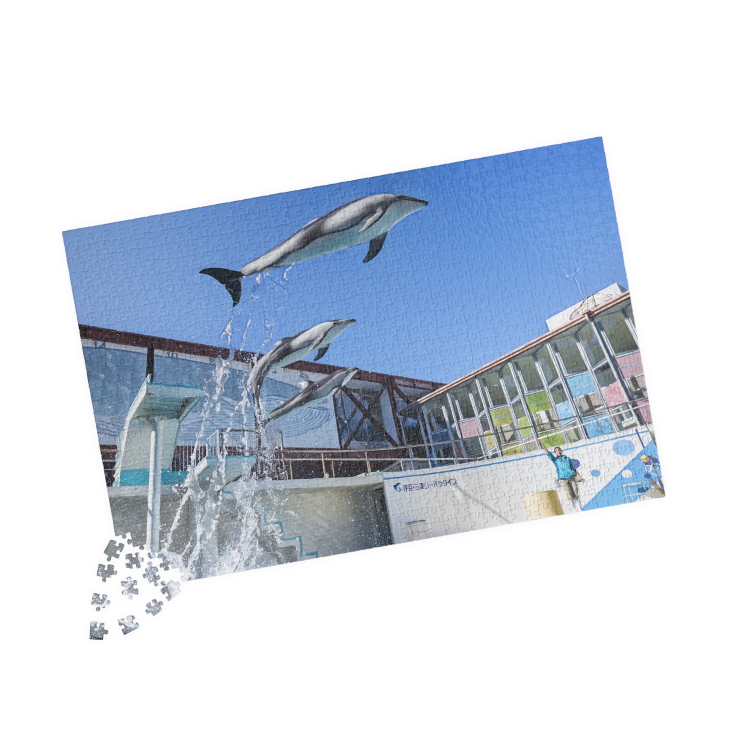 Jigsaw Puzzle (110, 252, 520, 1014-piece) Izu: Shimoda Aquarium