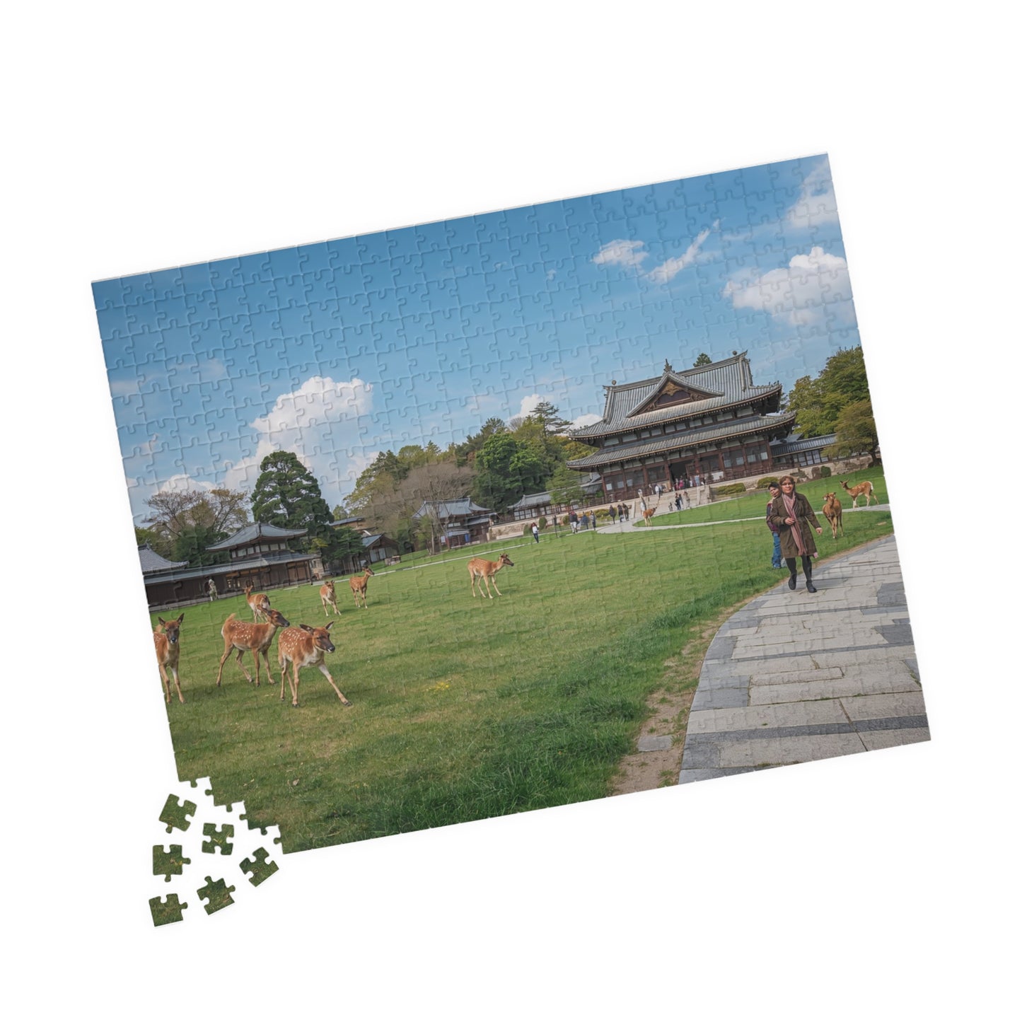 Jigsaw Puzzle (110, 252, 520, 1014-piece) Nara: Nara Park