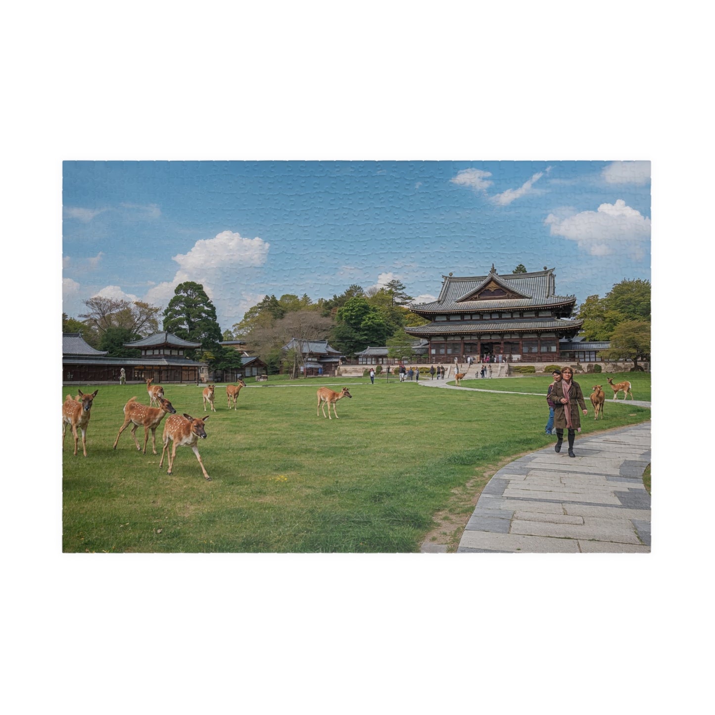 Jigsaw Puzzle (110, 252, 520, 1014-piece) Nara: Nara Park