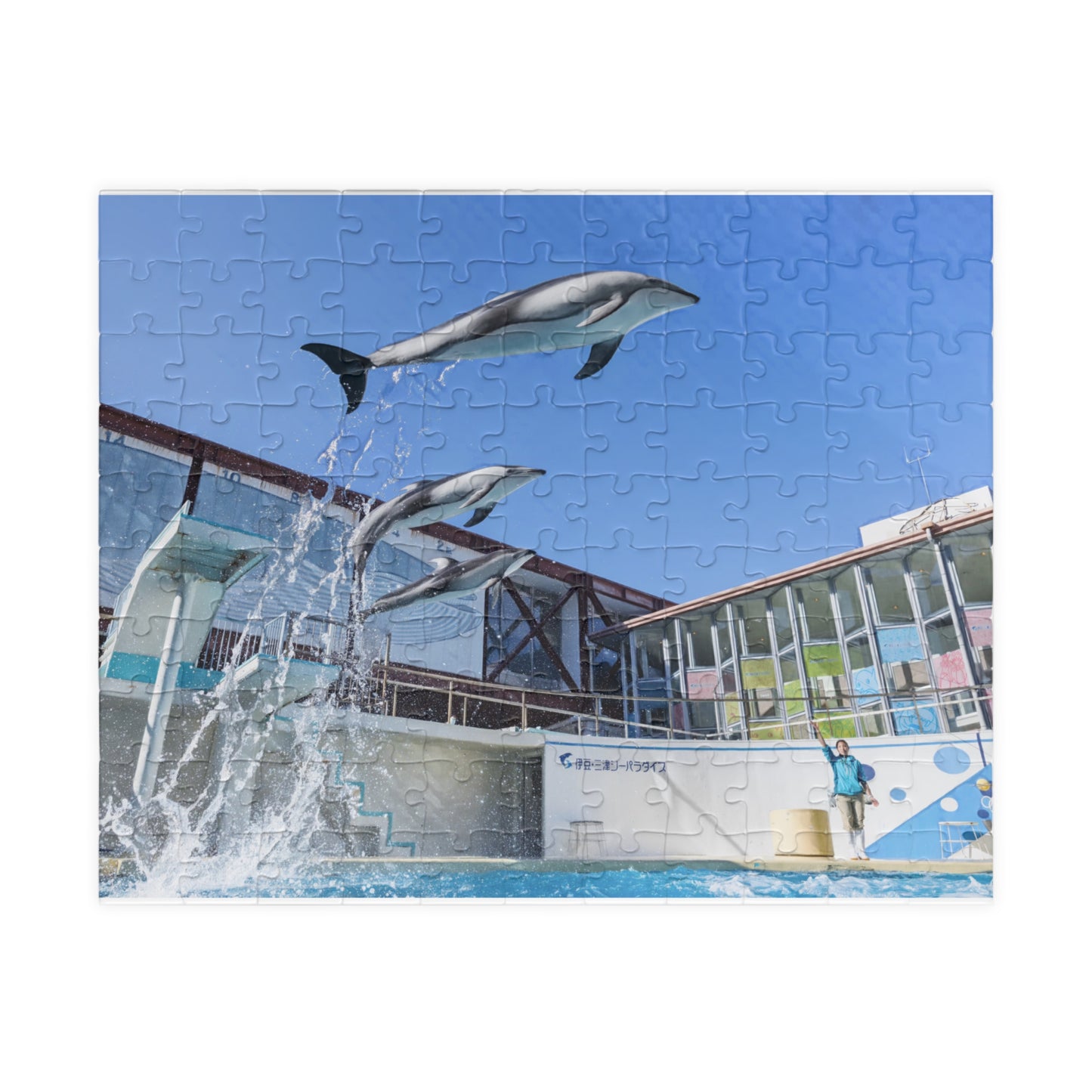 Jigsaw Puzzle (110, 252, 520, 1014-piece) Izu: Shimoda Aquarium