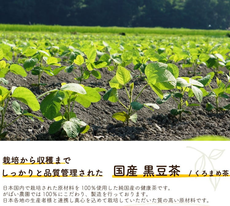 Black bean tea 5g x 40 packets (value set of 3) Made in Japan (from Hokkaido) Pesticide residue and radioactivity tested